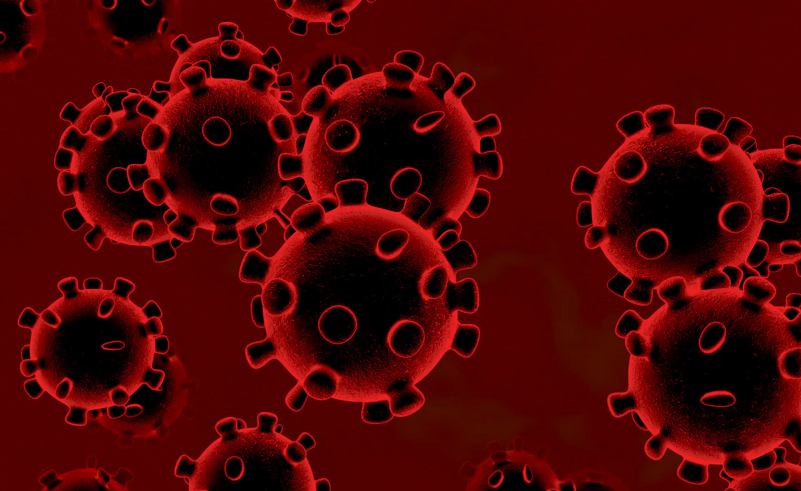 coronavirus